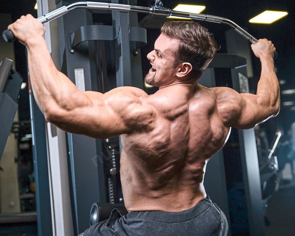 Boosts Muscle Growth and Strength