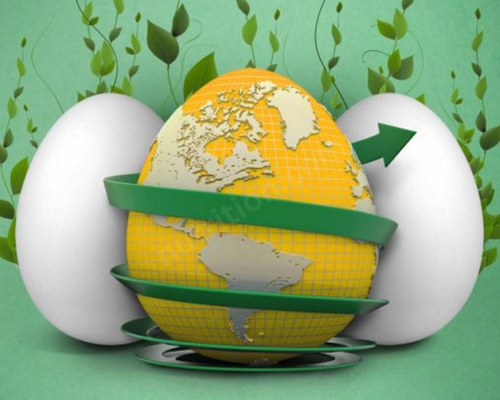 A Sustainable Choice