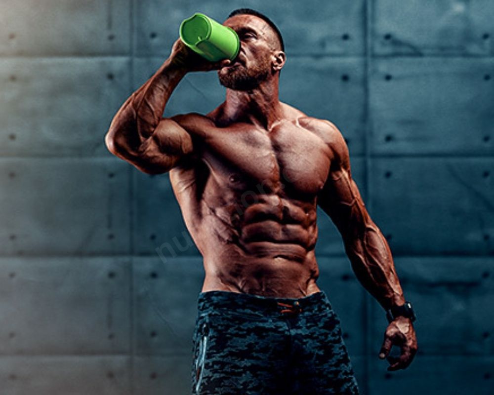 What’s The Secret Code For Protein?