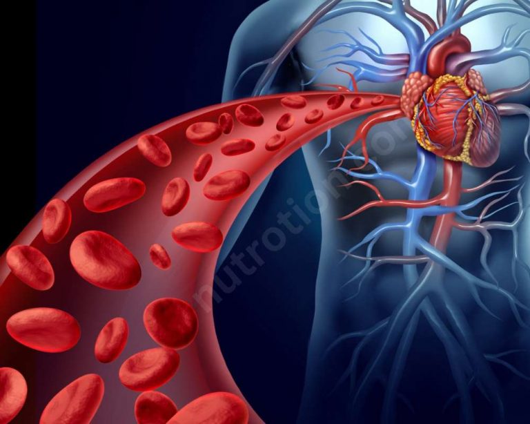 Boosting Your Red Blood Cells: Dietary and Lifestyle Changes