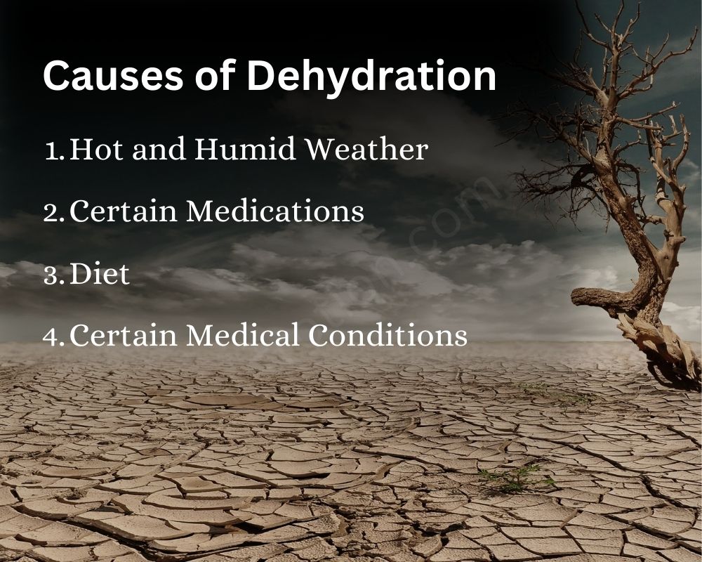 Causes of Dehydration