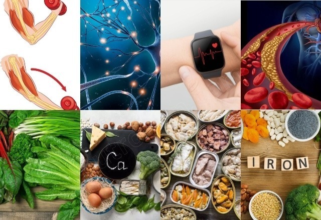 Power Up Your Health with Calcium: Functions, Foods, and Tips